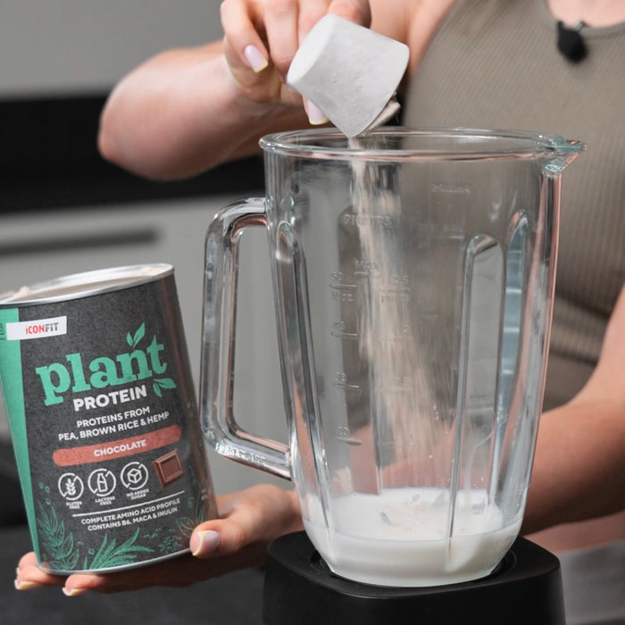 ICONFIT Plante-protein (480g)
