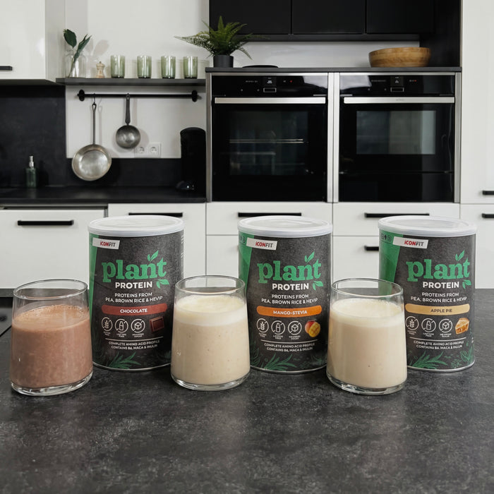 ICONFIT Plante-protein (480g)